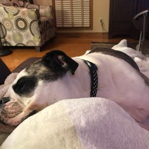 Meet your Posher, Stacey